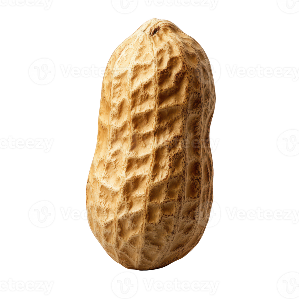 Peanut isolated on transparent background, natural texture, healthy snack choice, ideal for culinary uses. png