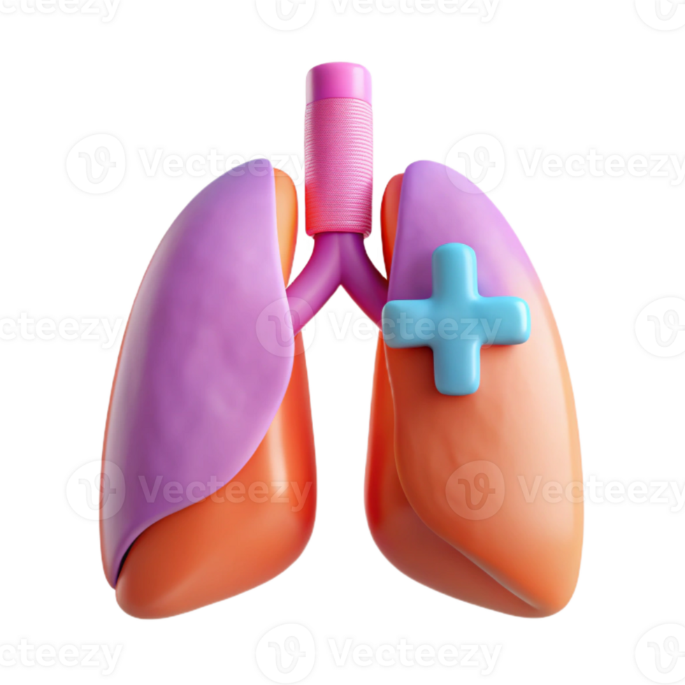 3D Rendered Human Lungs with Plus Sign png