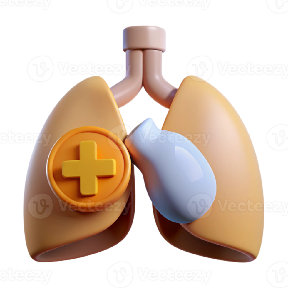 3D Illustration of Lungs with a Plus Sign png