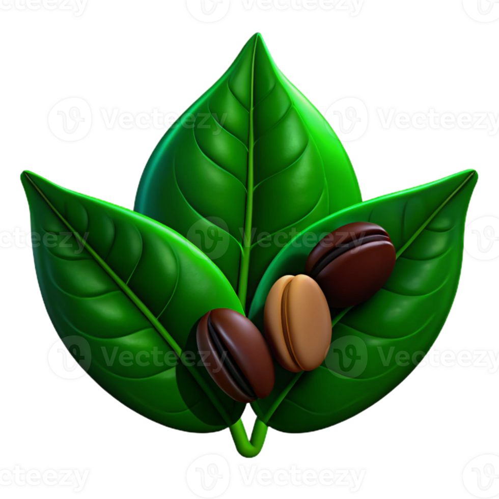 Green Coffee Leaves with Beans png