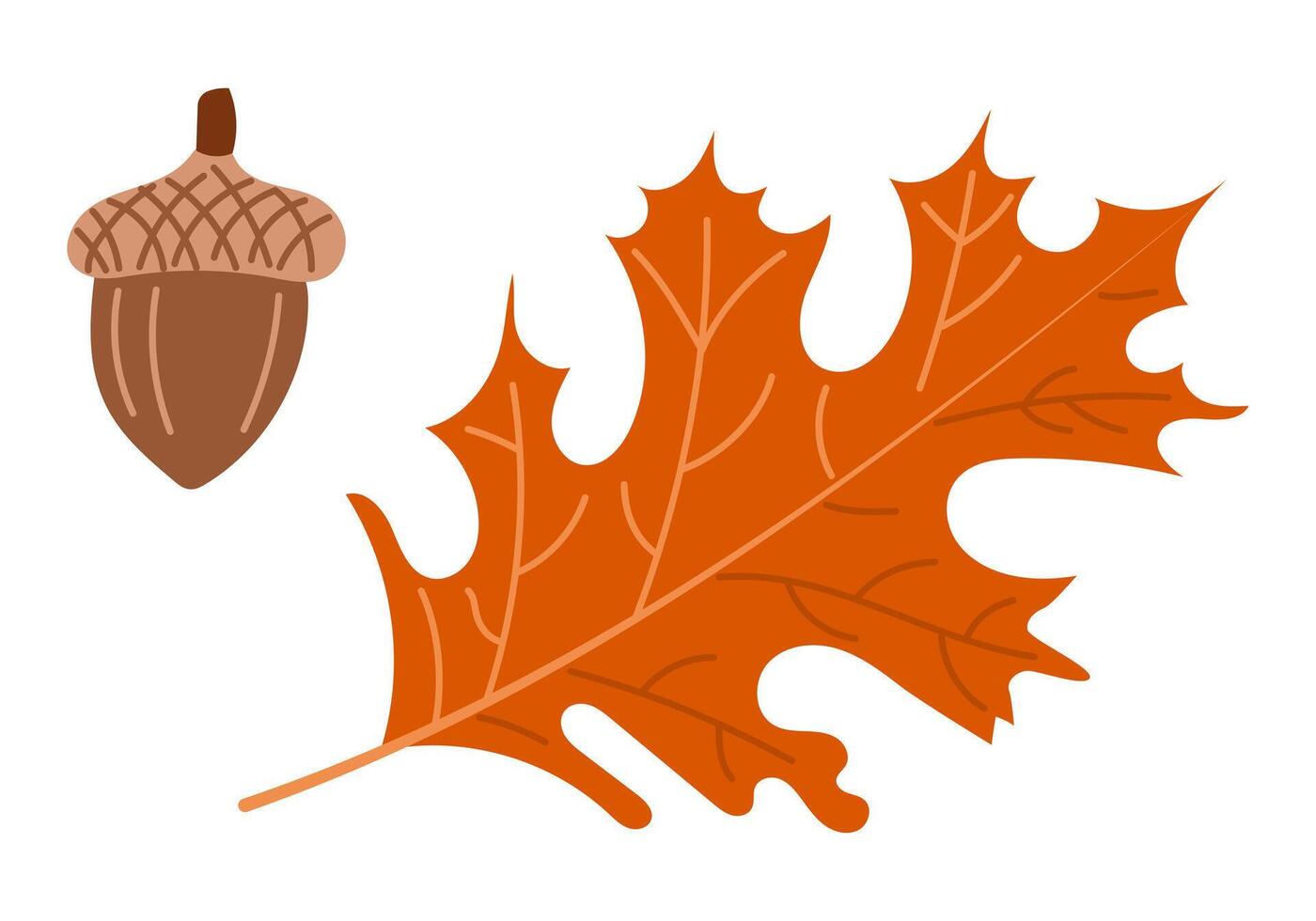 Illustration of brown acorn and dark orange oak leaf on isolated on white background. Clipart in flat style for decoration and stickers vector