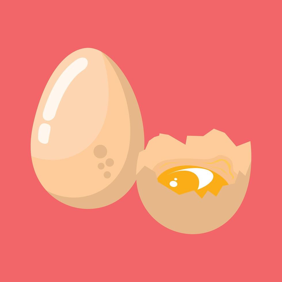 Whole chicken egg and broken egg with yolk vector