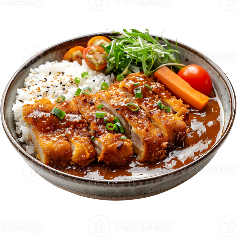 Chicken katsu curry isolated on transparent background png