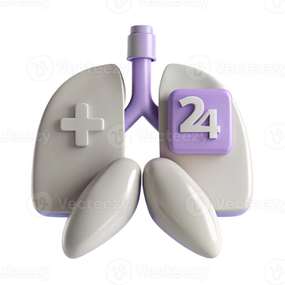 3D Illustration of Lungs with Plus Sign and Number 24 png