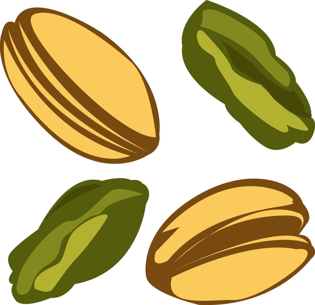 simple illustration of pistachio shell set and contents vector