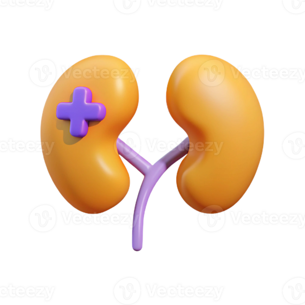 3D Render of Kidneys with a Plus Sign png