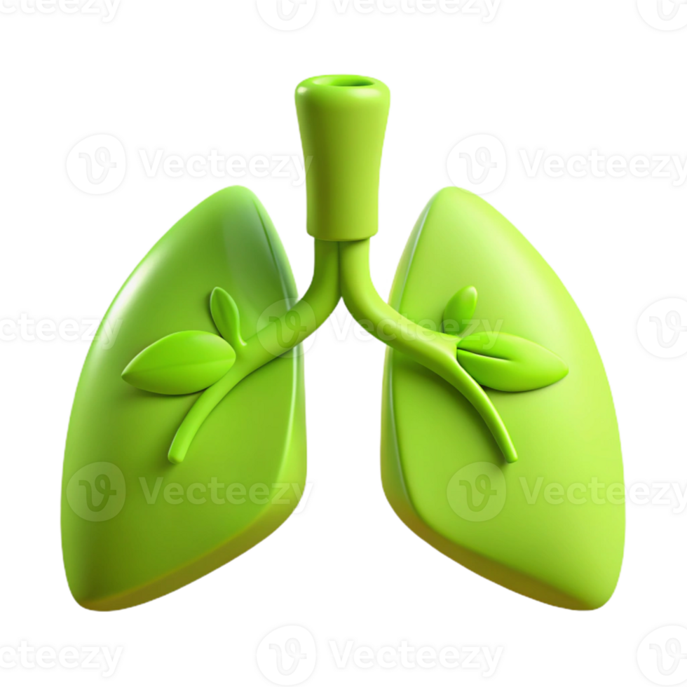 Green Lungs with Leaves 3D Illustration of Healthy Respiratory System png