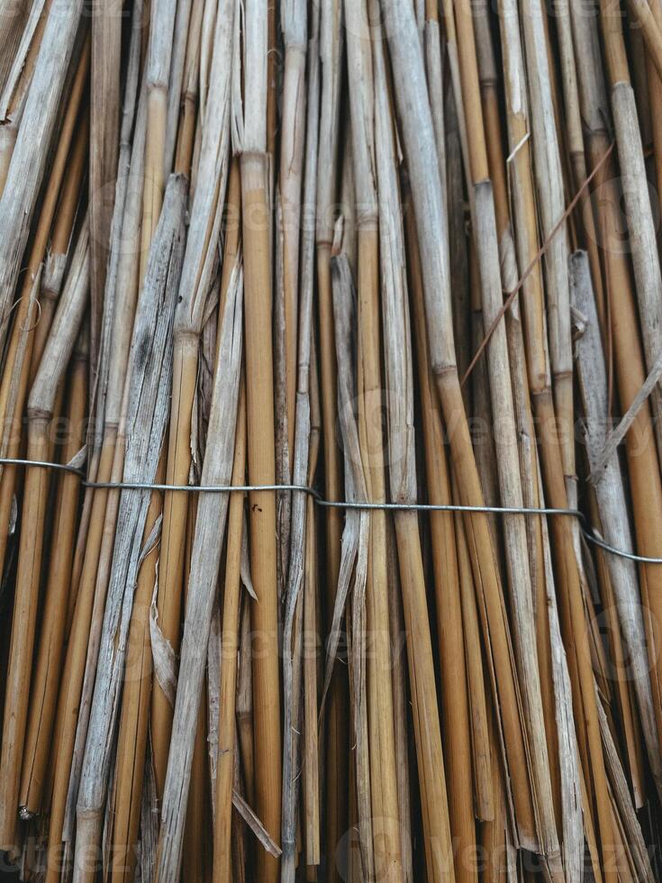 Tightly bundled dried reeds lies flat, texture and warm yellow shade colors. Natural material, crafting and decoration concept. Perfect for background design photo