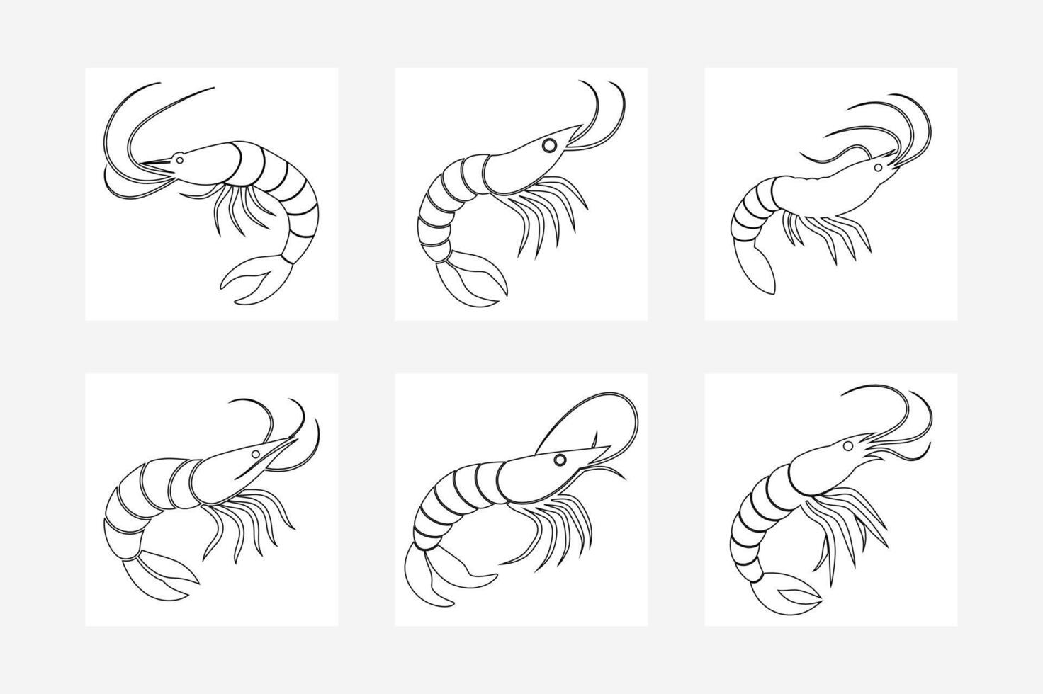 Shrimp Line Art on White Background Digital Download vector