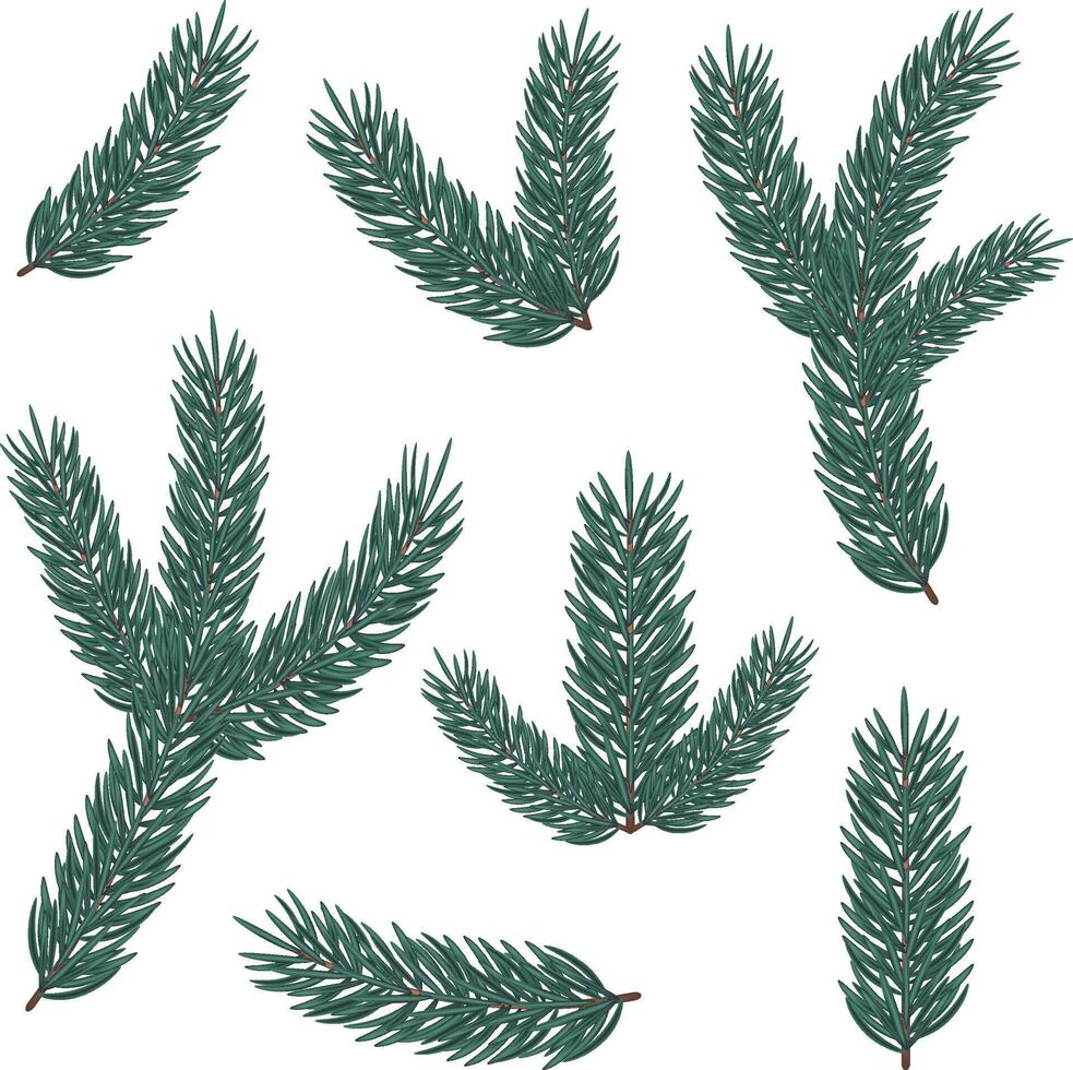 Set of Realistic 3D Fir branches for Christmas and New Year on Transparent background. Christmas tree, pine, coniferous tree. Illustration decoration for holiday decor, cards, posters, banners. vector