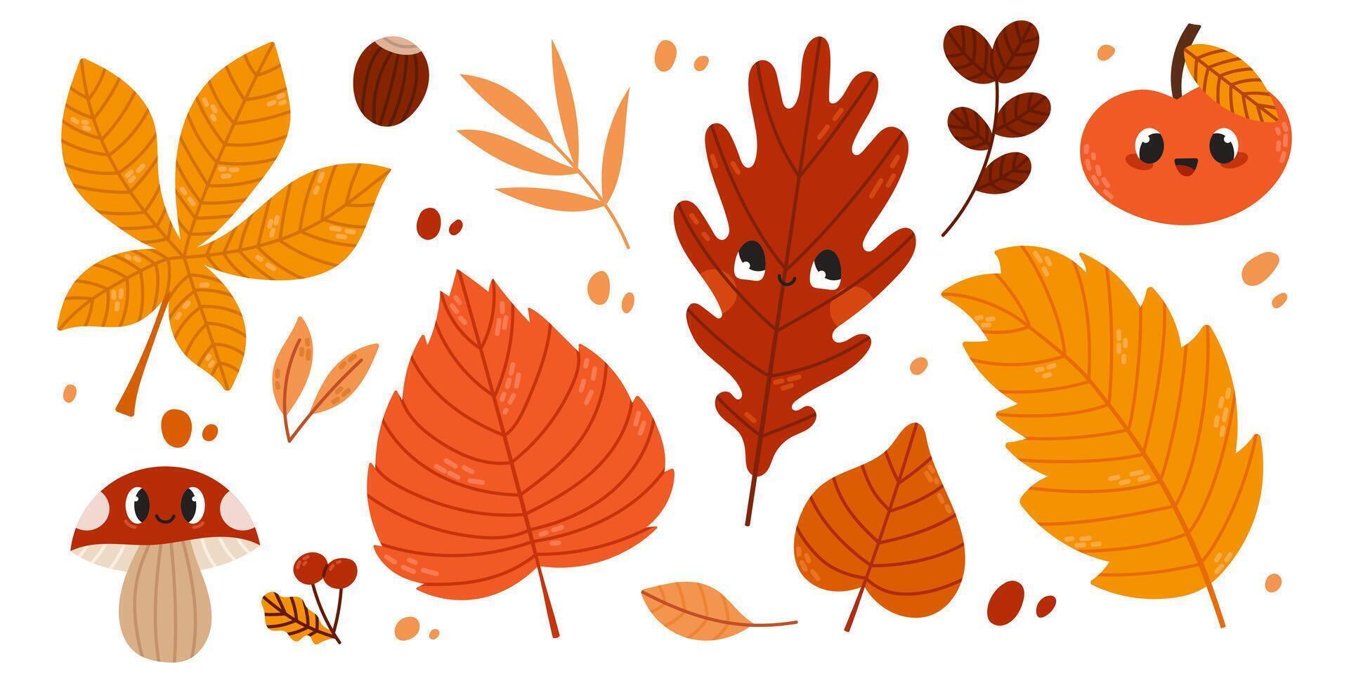 Cute autumn leaves. Mushroom, apple and nut. Flat illustaryion isolated on white background. vector