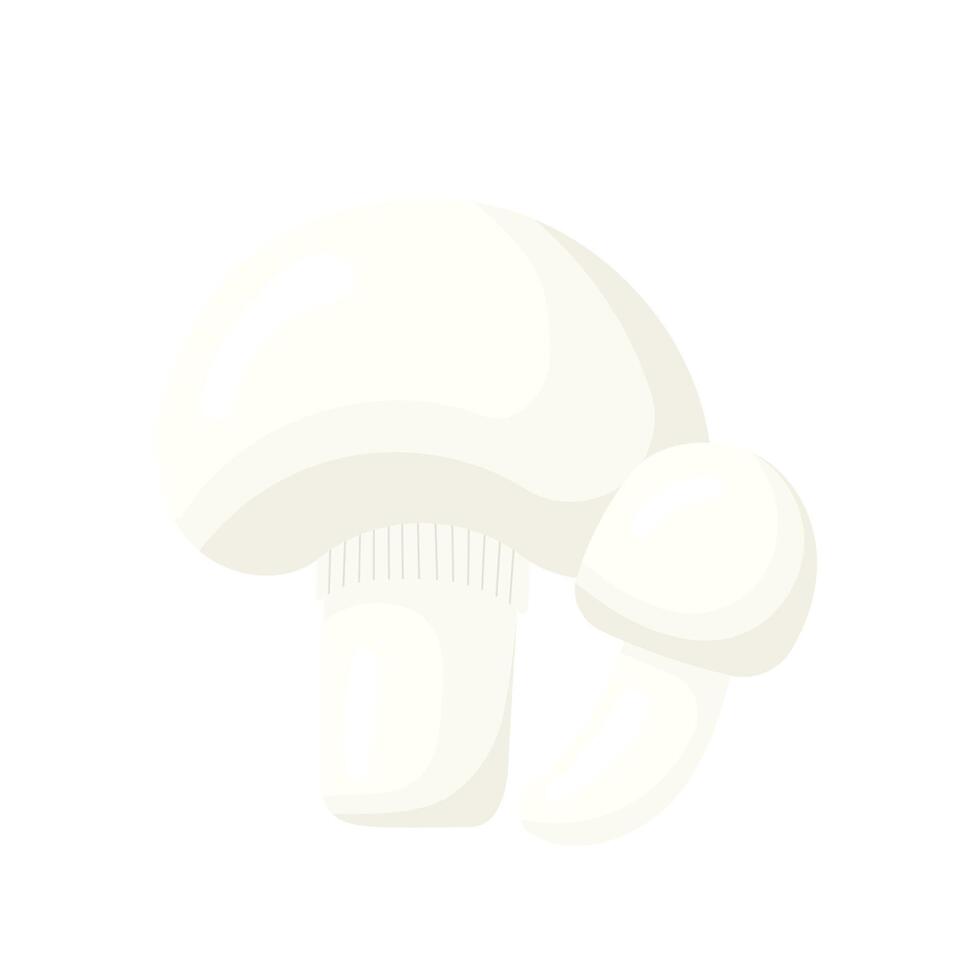 Champignons mushrooms flat. White mushroom - champignons isolated without background. illustration vector