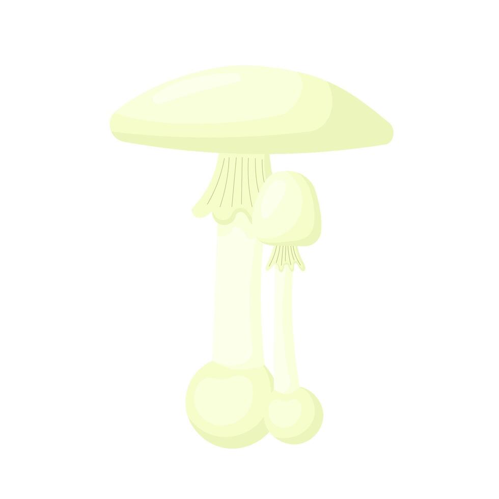 Death cap mushrooms flat. A poisonous toxic dangerous mushroom - death cap isolated without background. illustration vector
