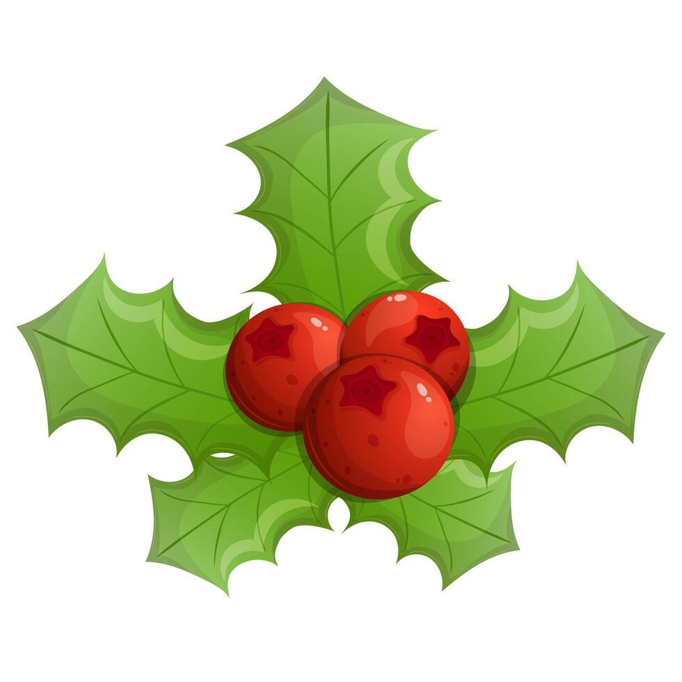 Christmas holly berry isolated on white. Mistletoe cartoon illustration. vector