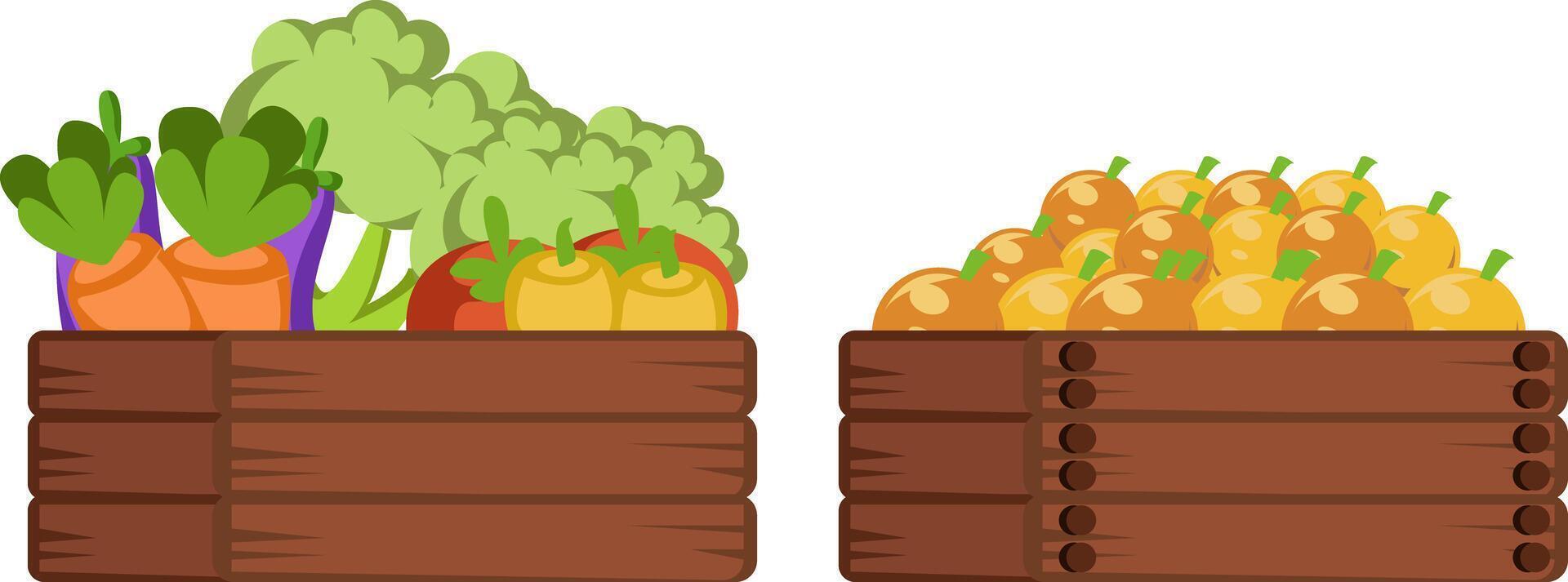 vegetable and fruit in wooden box from harvest vector
