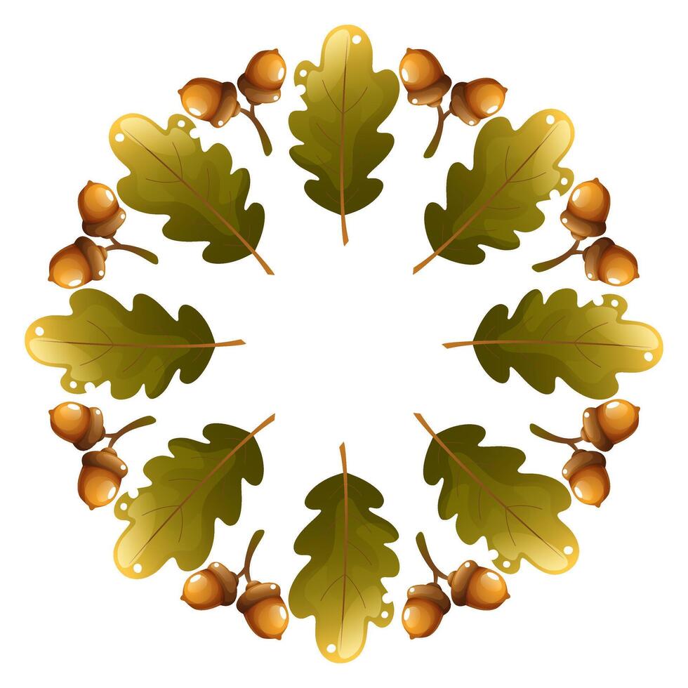 Round wreath of oak leaves and acorns. Autumn wreath of round shape with empty space for text. Frame of autumn leaves on white background. vector