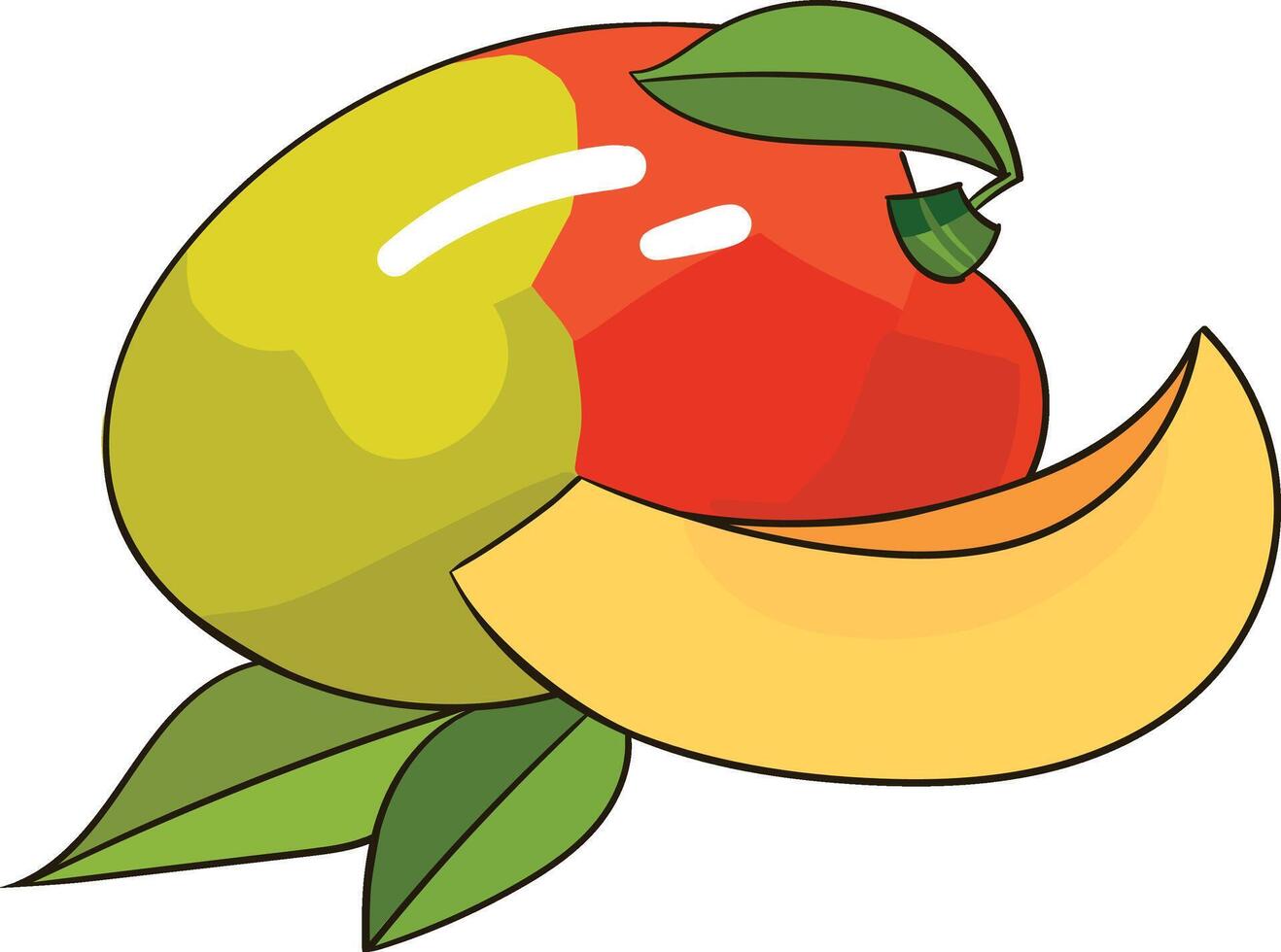 Mango fruit illustration vector
