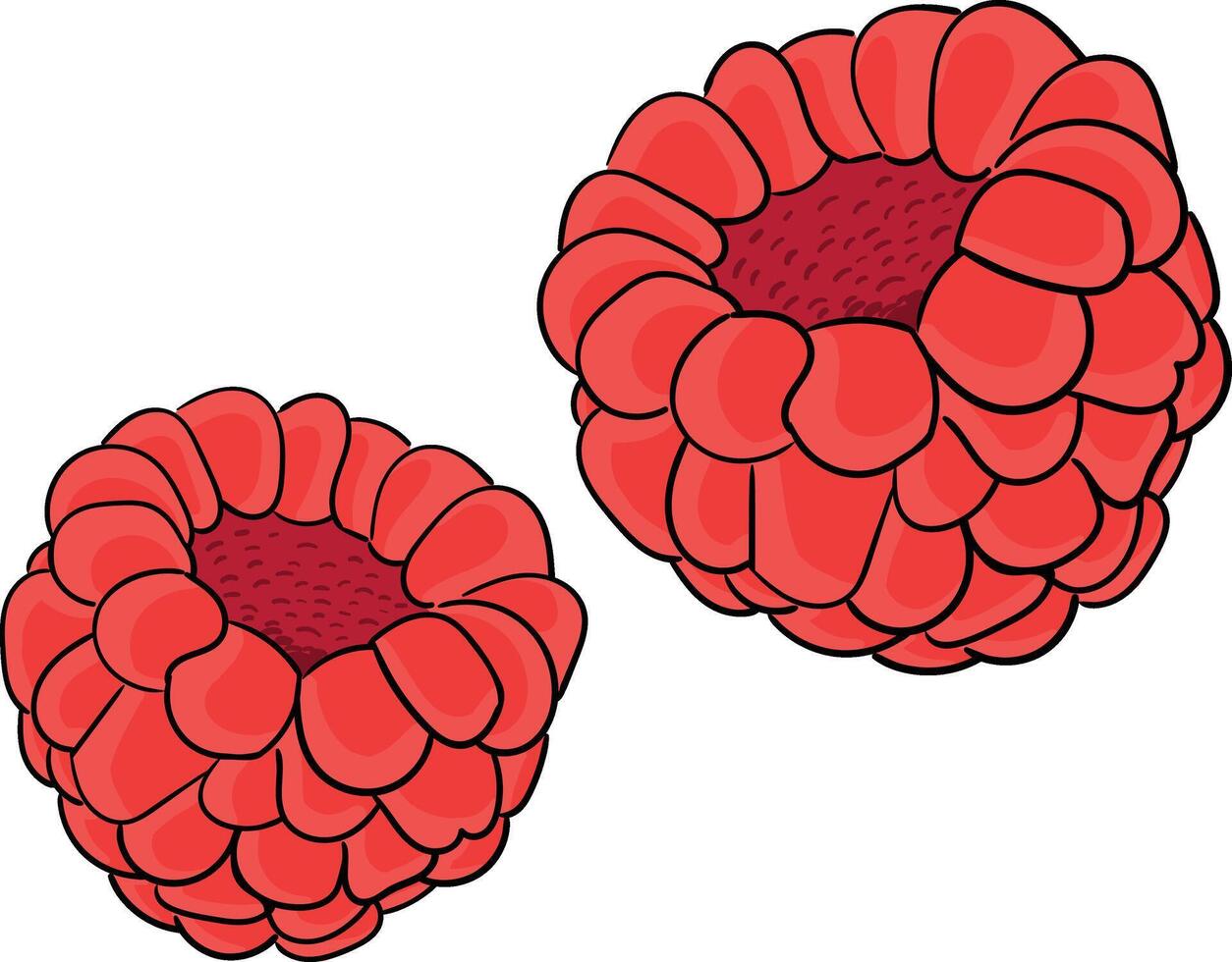 Raspberry berry colorful illustration vector