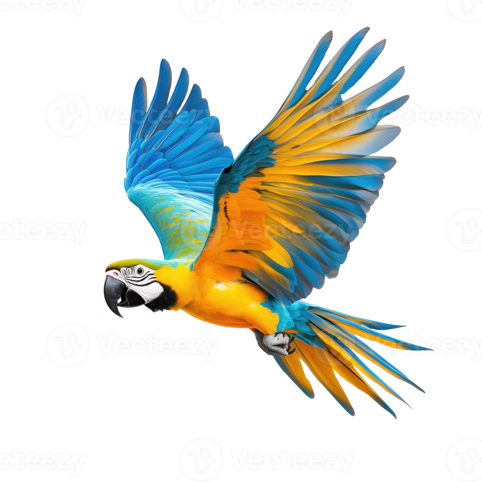 A vibrant parrot in flight showcasing beautiful blue and yellow feathers isolated on transparent background. png
