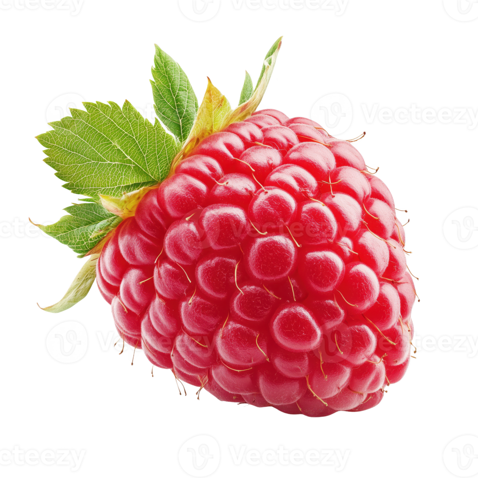 Fresh raspberry with green leaves, isolated on transparent background. png