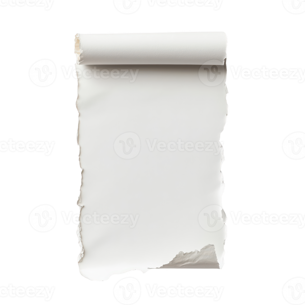 Torn white paper with a curled top edge, isolated on transparent background. png