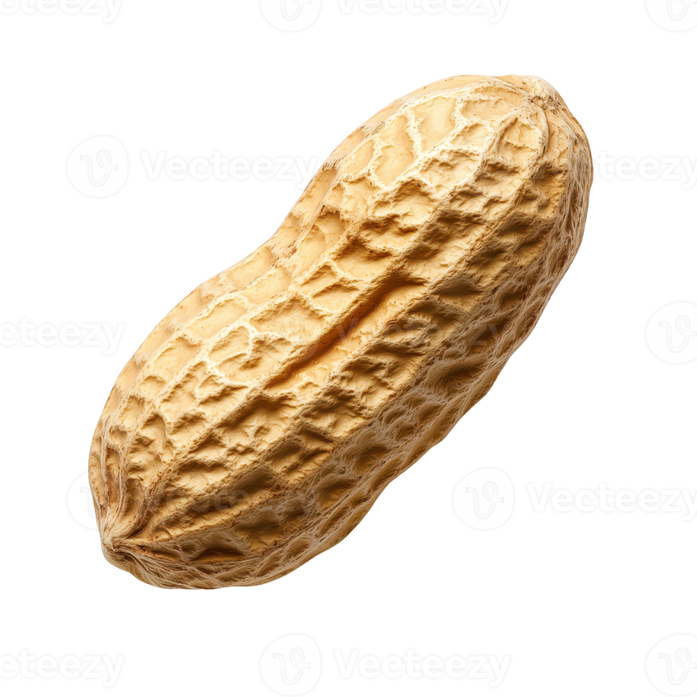 Peanut with a textured shell isolated on transparent background. png