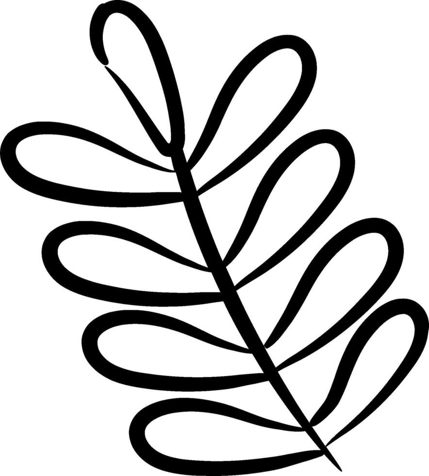 A black and white drawing of a leaf vector