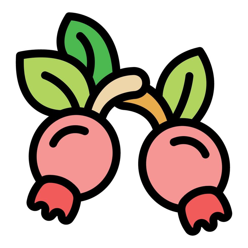 Two pink lingonberries growing on a branch with green leaves vector