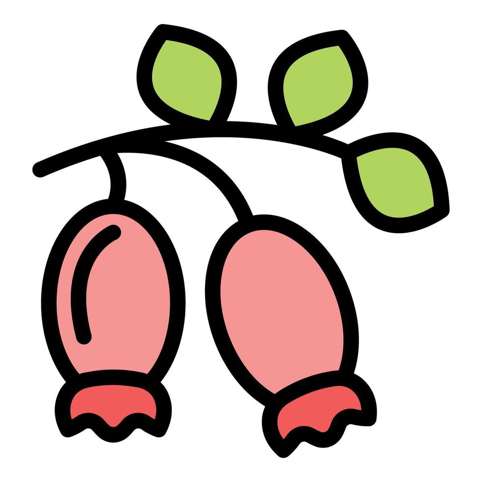 Branch of coffee growing with two ripe berries and three leaves vector