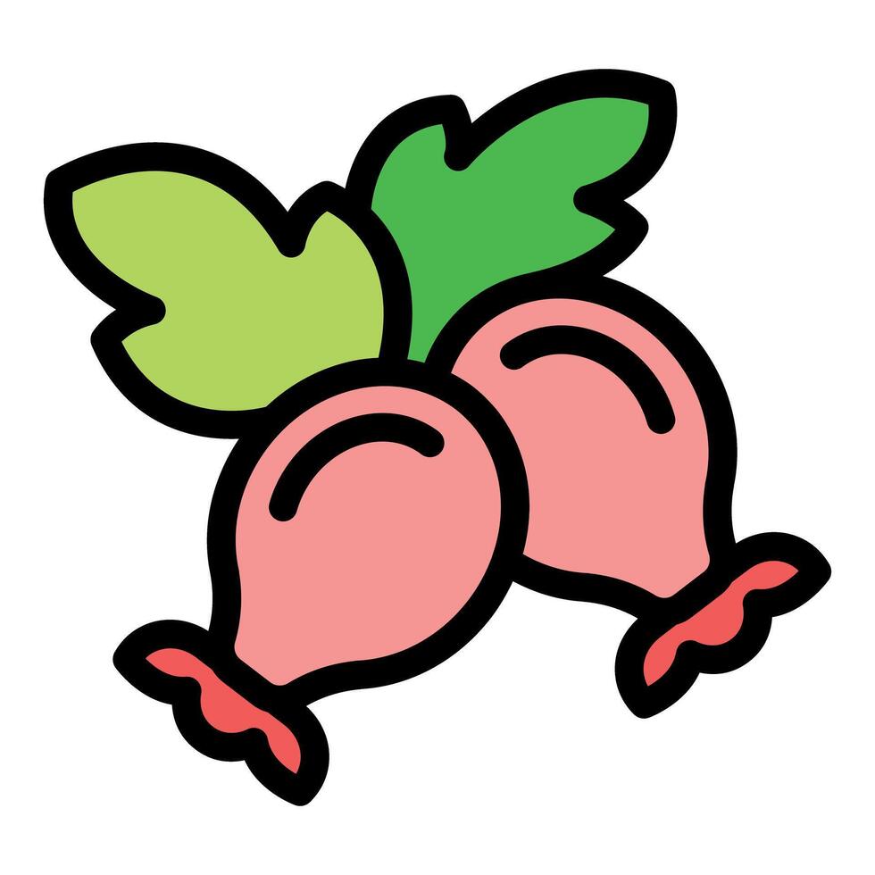 Two pink radishes growing with green leaves vector