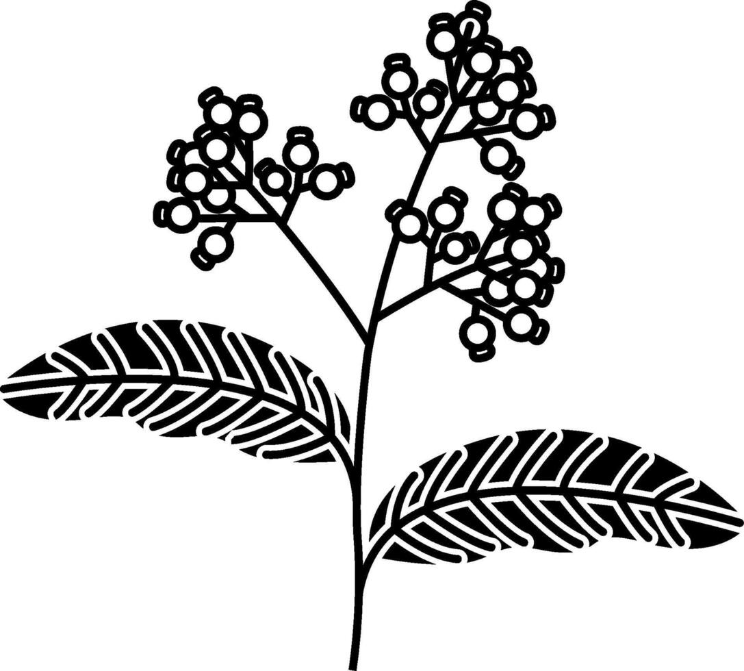 A black and white illustration of a plant with leaves vector