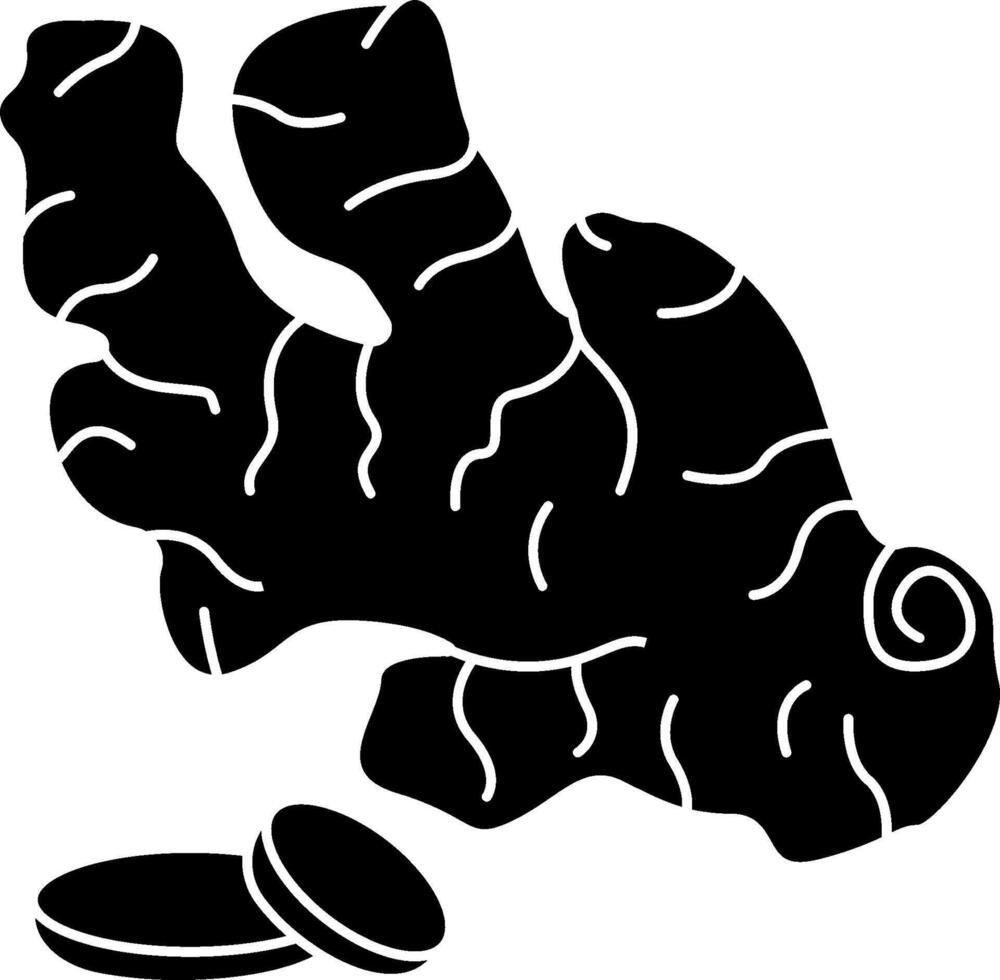 Black and white illustration of a black and white ginger root vector