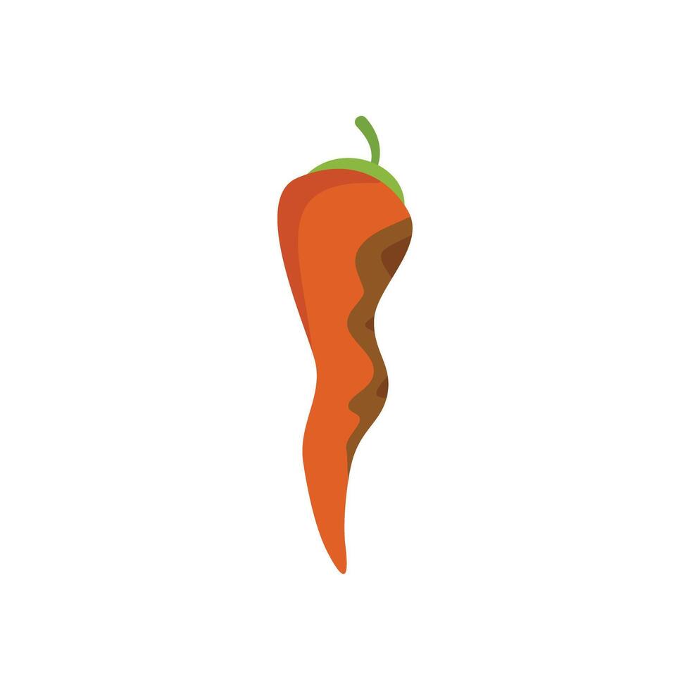 Orange chili pepper standing up with brown stripes illustration vector