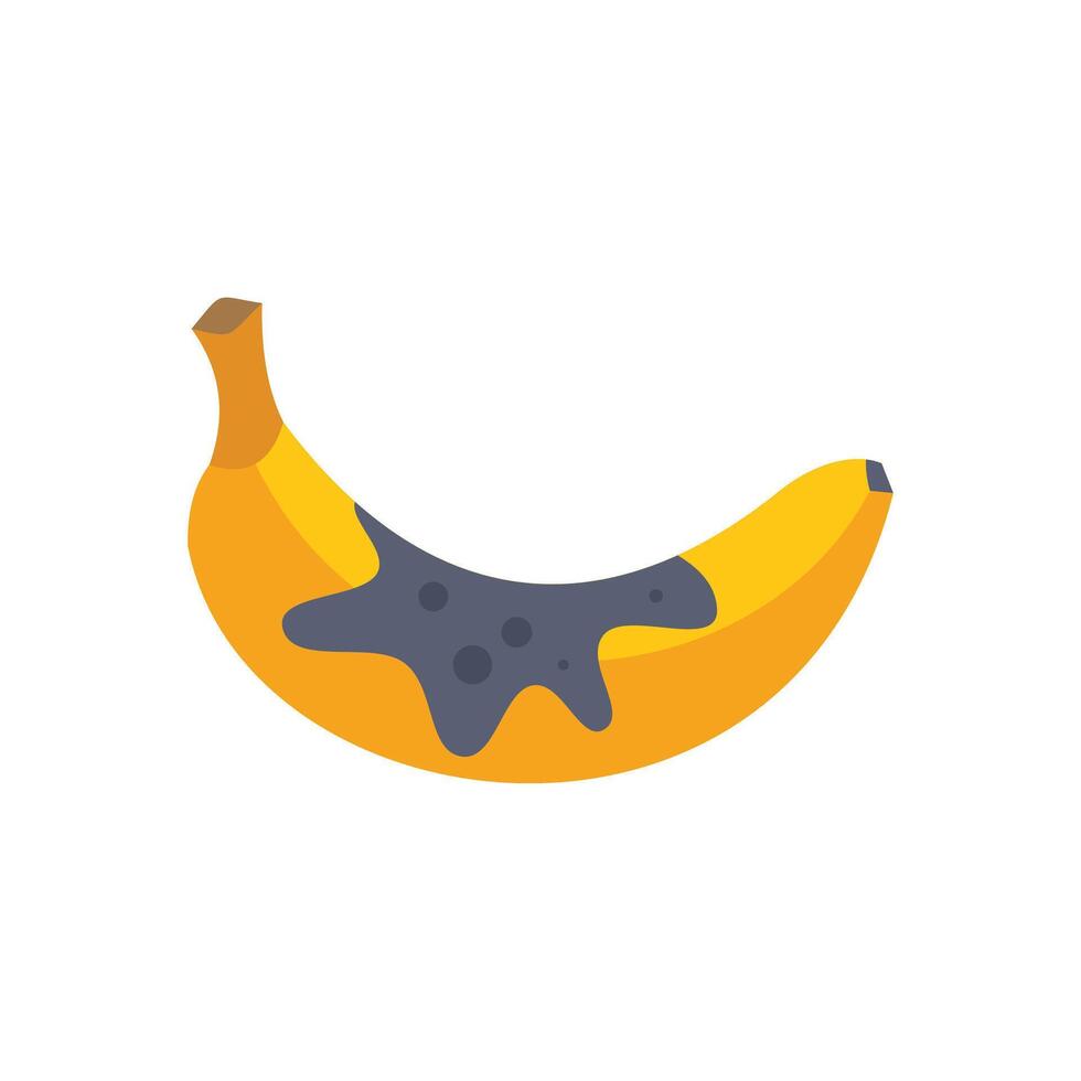 Ripe yellow banana covered with brown spots getting rotten on white background vector