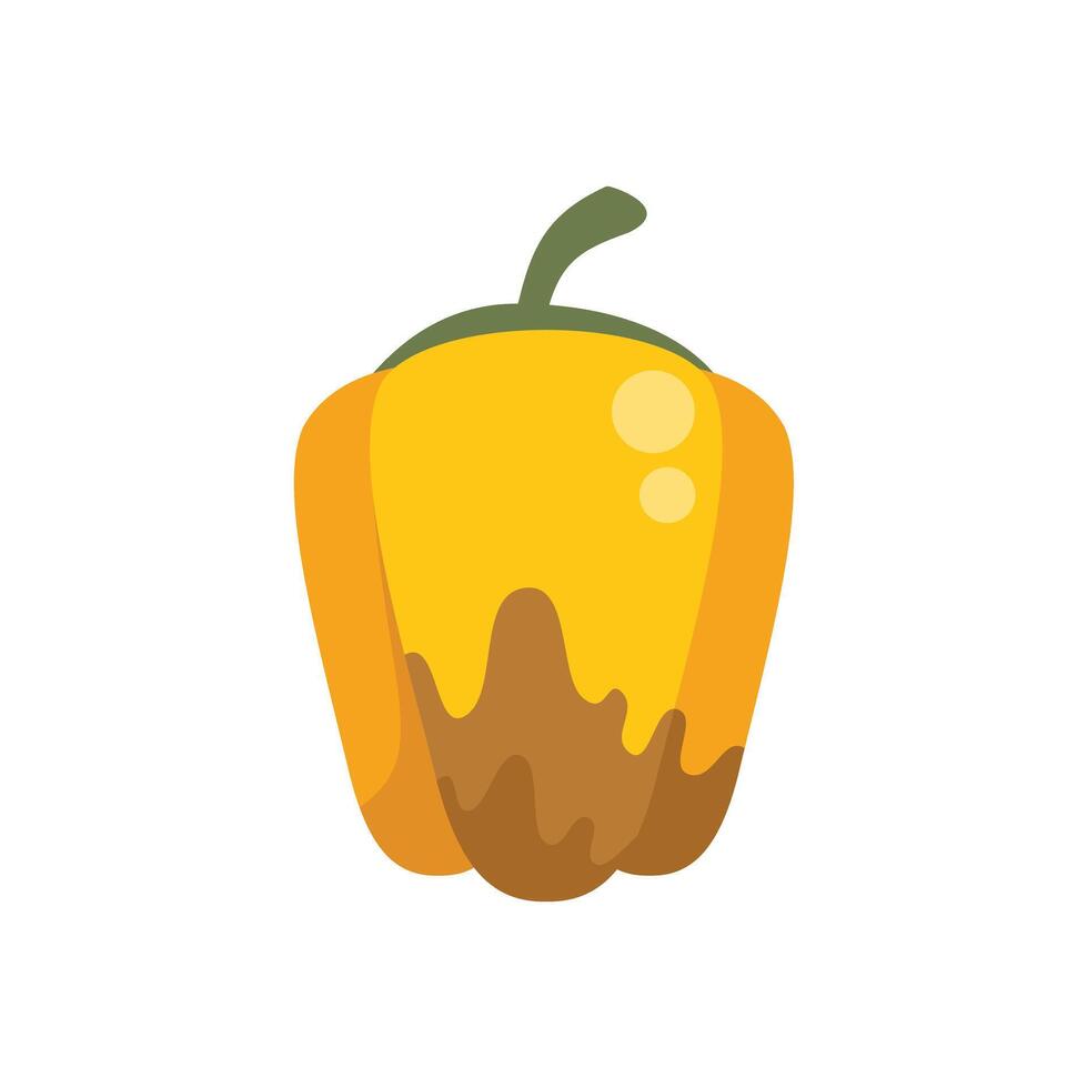 Yellow bell pepper rotting with mold growing on it vector