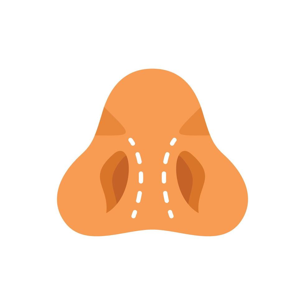 Human nose after rhinoplasty showing surgical incisions vector