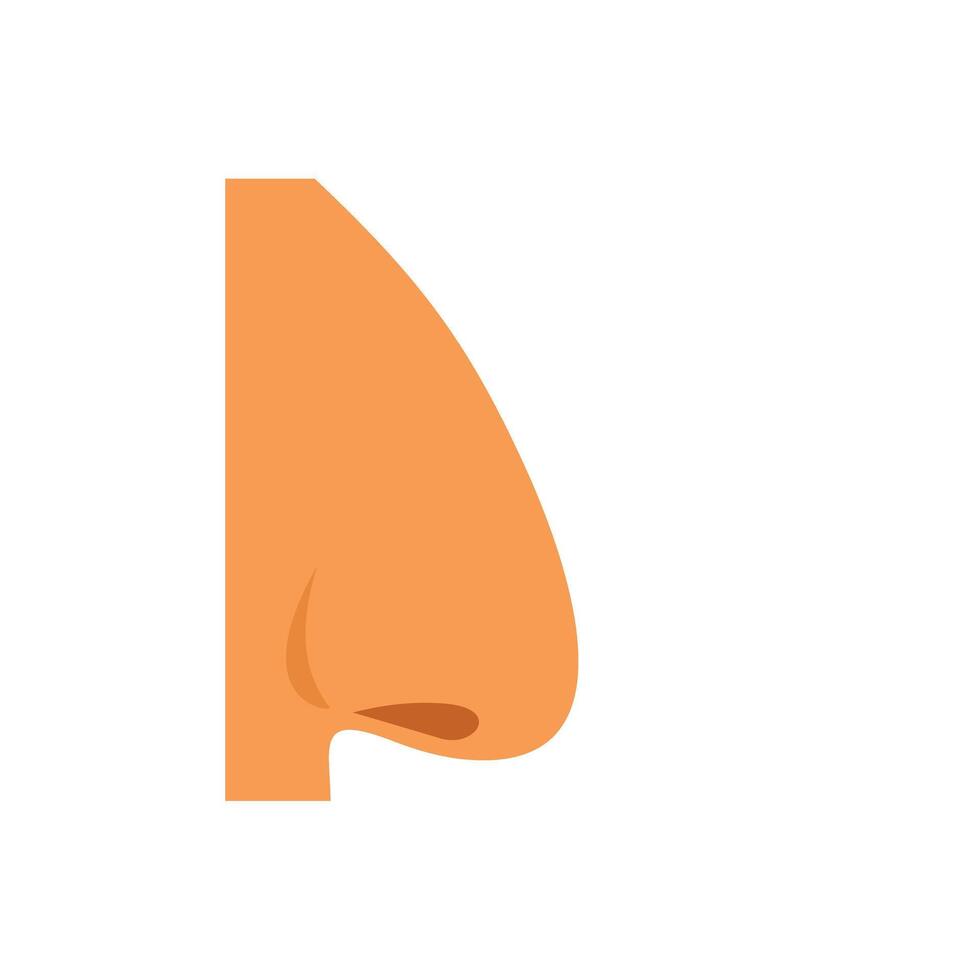 Human nose representing smell and breathing process vector