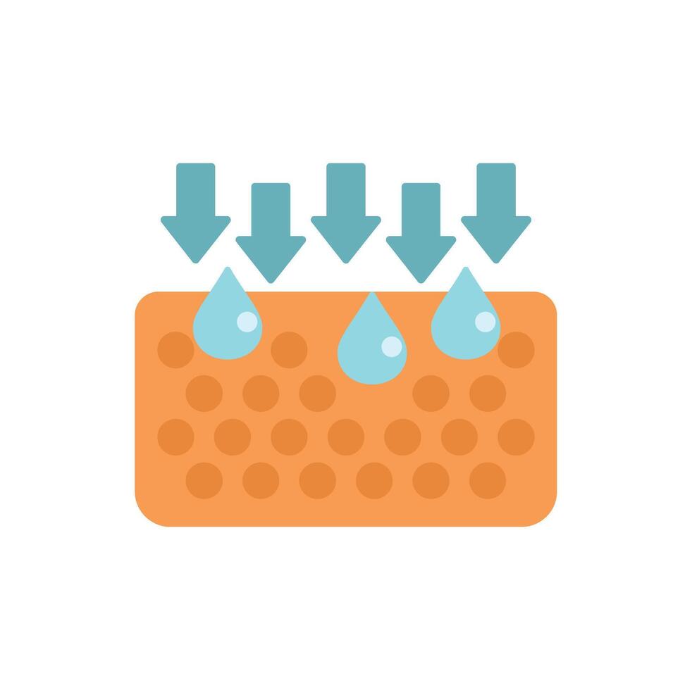 Water droplets penetrating skin surface showing skin hydration vector