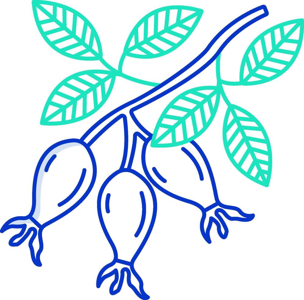 A branch with two berries and leaves vector