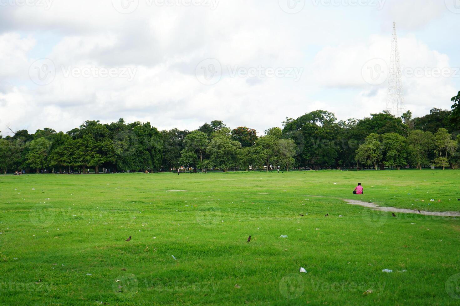 The beautiful view of Kolkata Maidan during day time photo