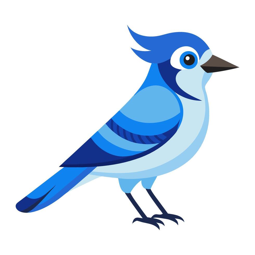 blue jay bird flat style isolated on white background. illustration vector