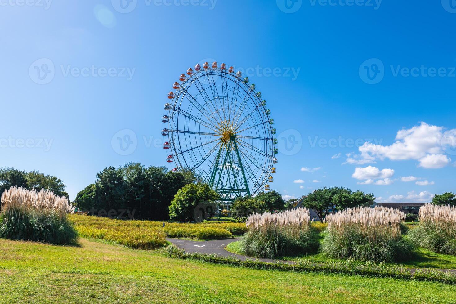 Ferris Wheel, Blue Eyes, located at Hitachi seaside park in Hitachi, Ibaraki, Japan photo