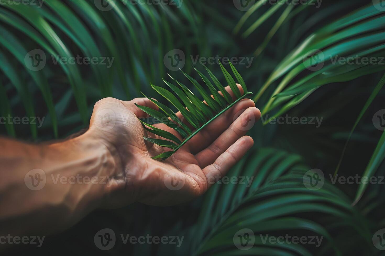 Male hand holding tropical leaf exploring jungle photo
