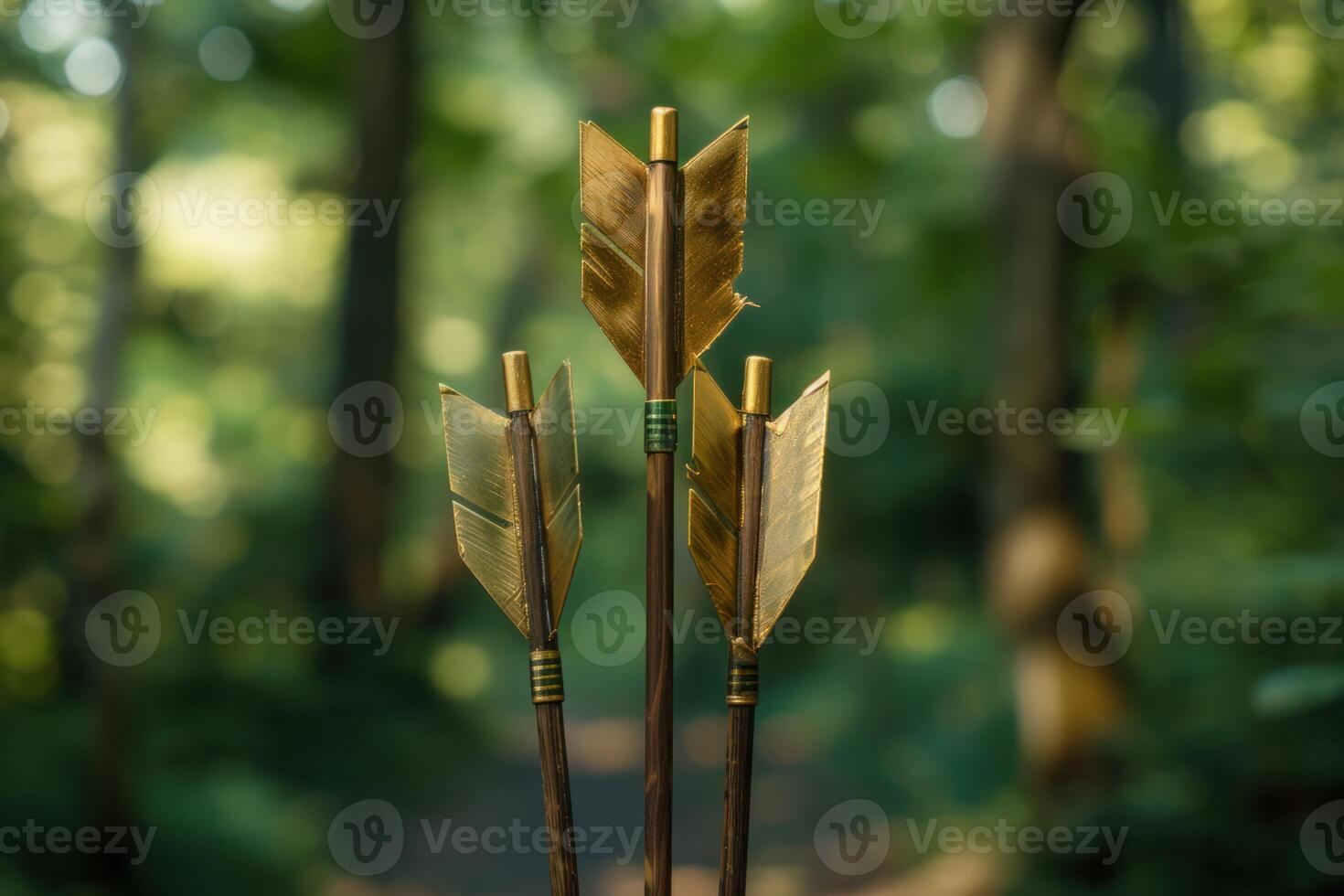 Three arrows standing upright in forest displaying golden fletching photo