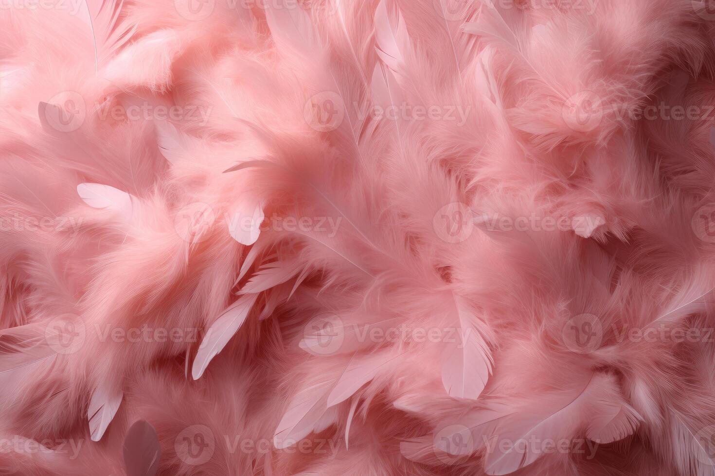 Soft pink feathers texture background photo