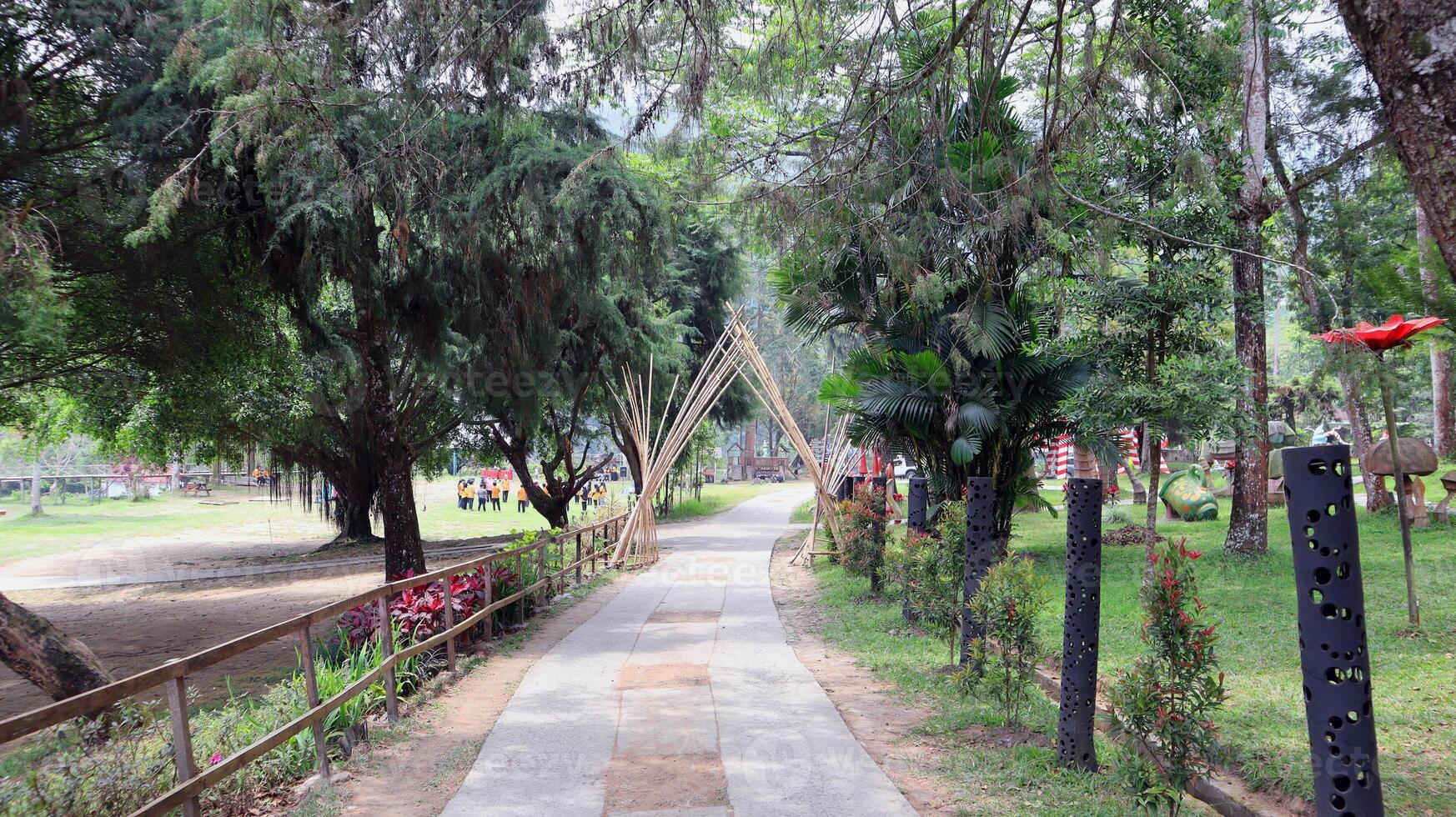 The path is lined with wooden fences and lush trees photo