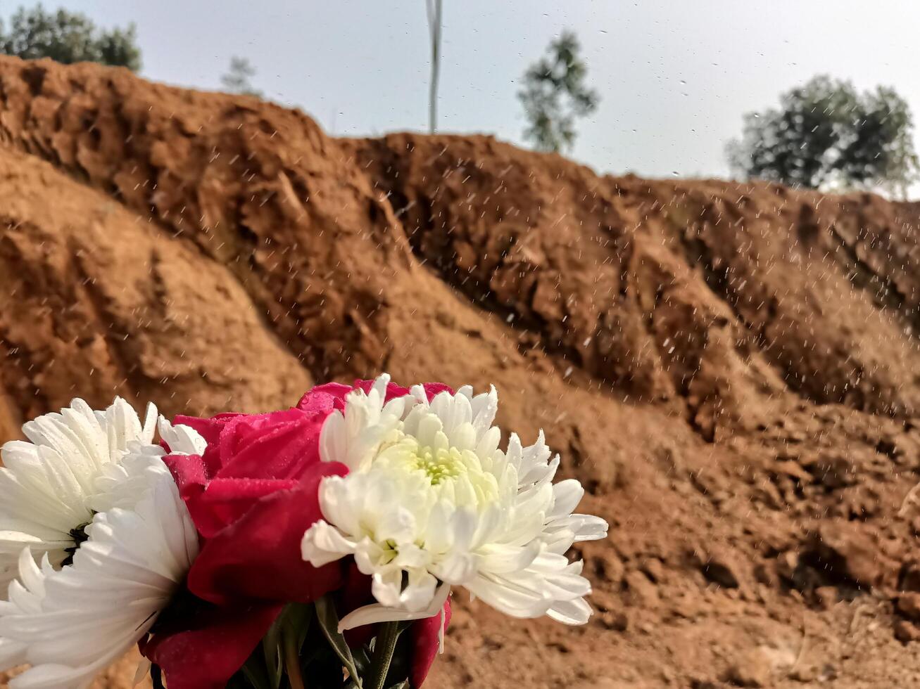 Flowers are placed on a dirt road photo