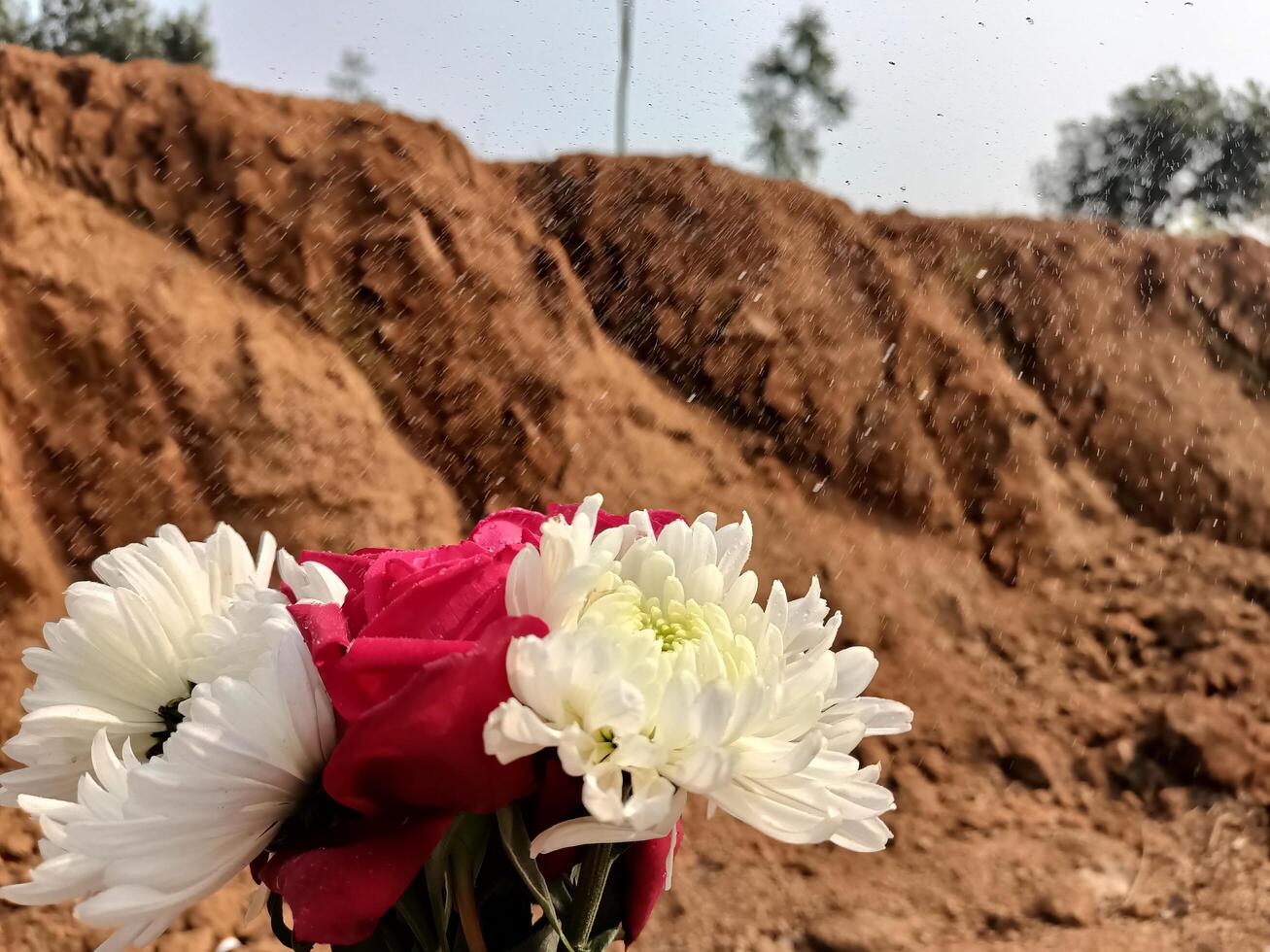 Flowers are placed on a dirt road photo
