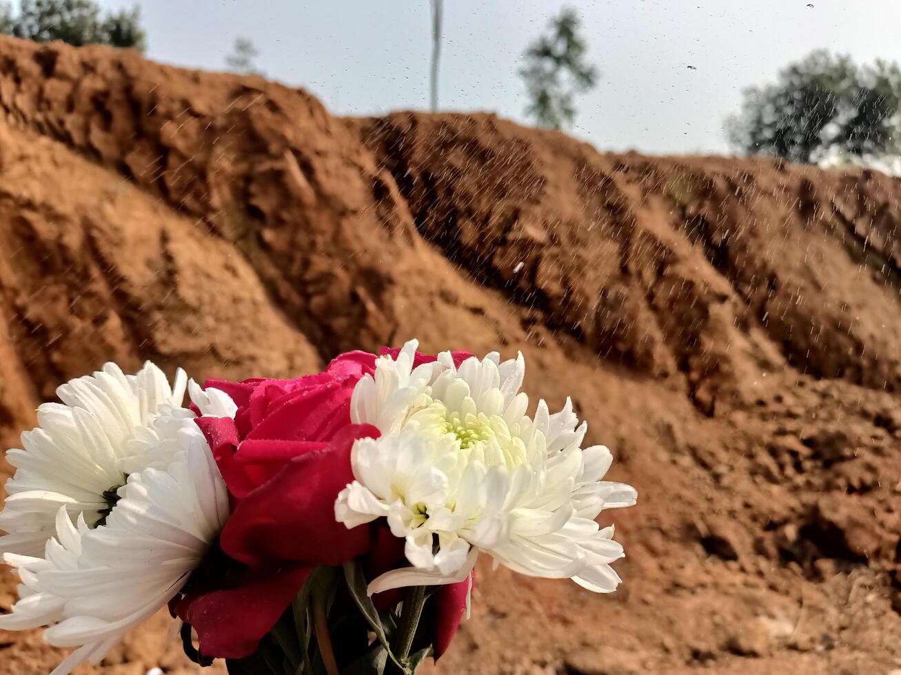 Flowers are placed in front of a dirt mound photo