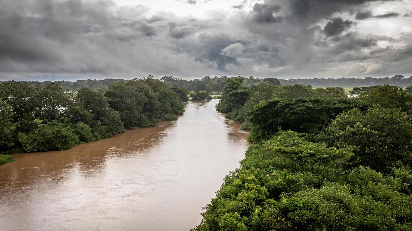 The Frio River flows through the Cano Negro Wildlife Refuge in Costa Rica, showcasing the natural landscape under a cloudy sky. photo